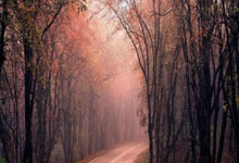 友谊赛-特雷泽盖进球德布劳内失误 比利时1-2埃及.