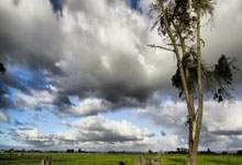 [国足]颜骏凌：我们最大的动力就是为主场而战.