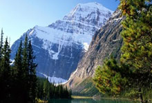 塞尔吉尼奥有望本周驰援国足 奥斯卡确定无缘.