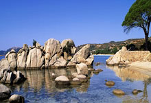 开云体育：你什么冠军？比达尔伸两根手指回应球迷辱骂：我有两座美洲杯.